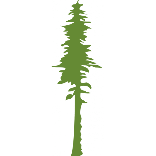 Sequoia Massothérapie Inc